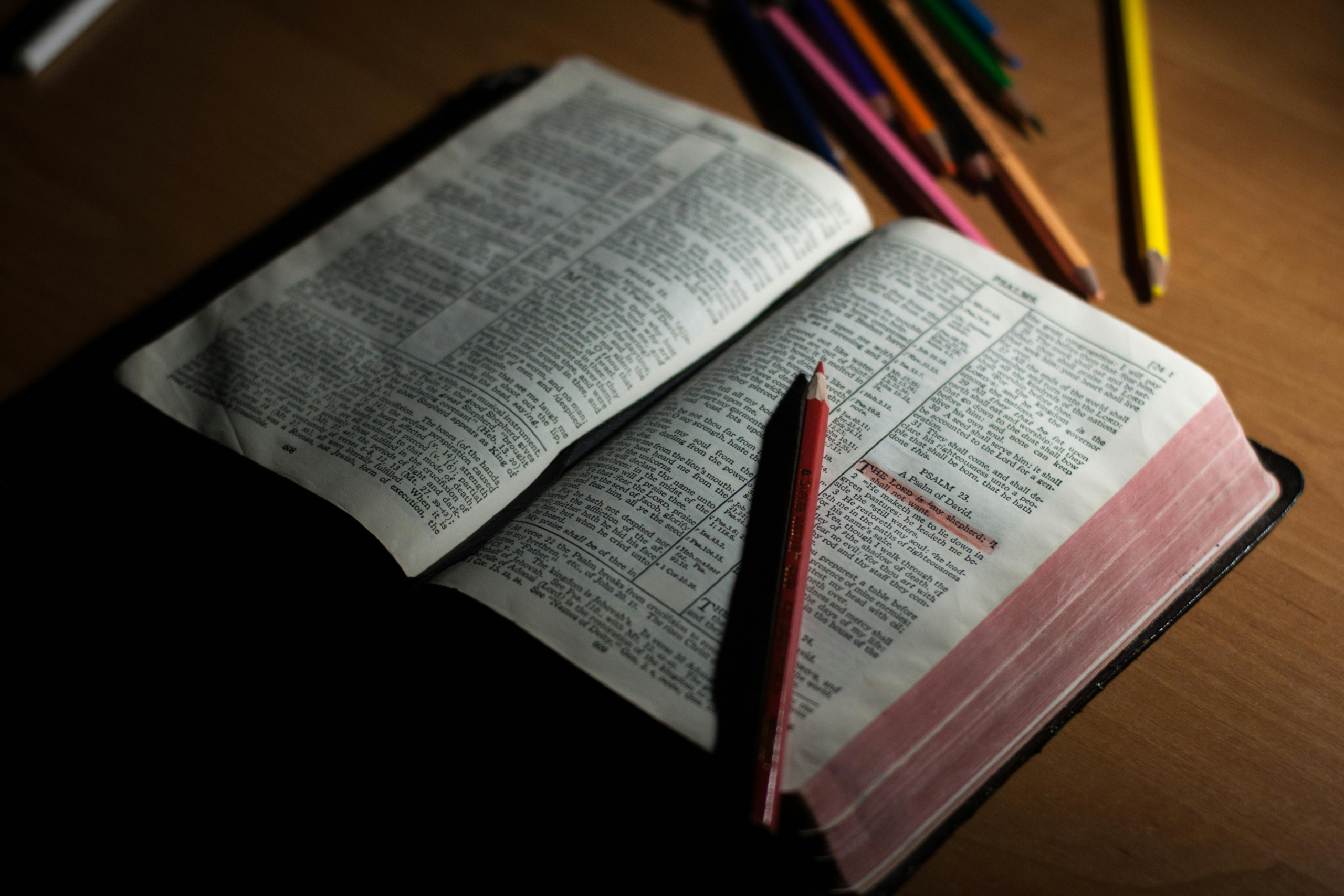 Bible Verses for Encouragement and Strength